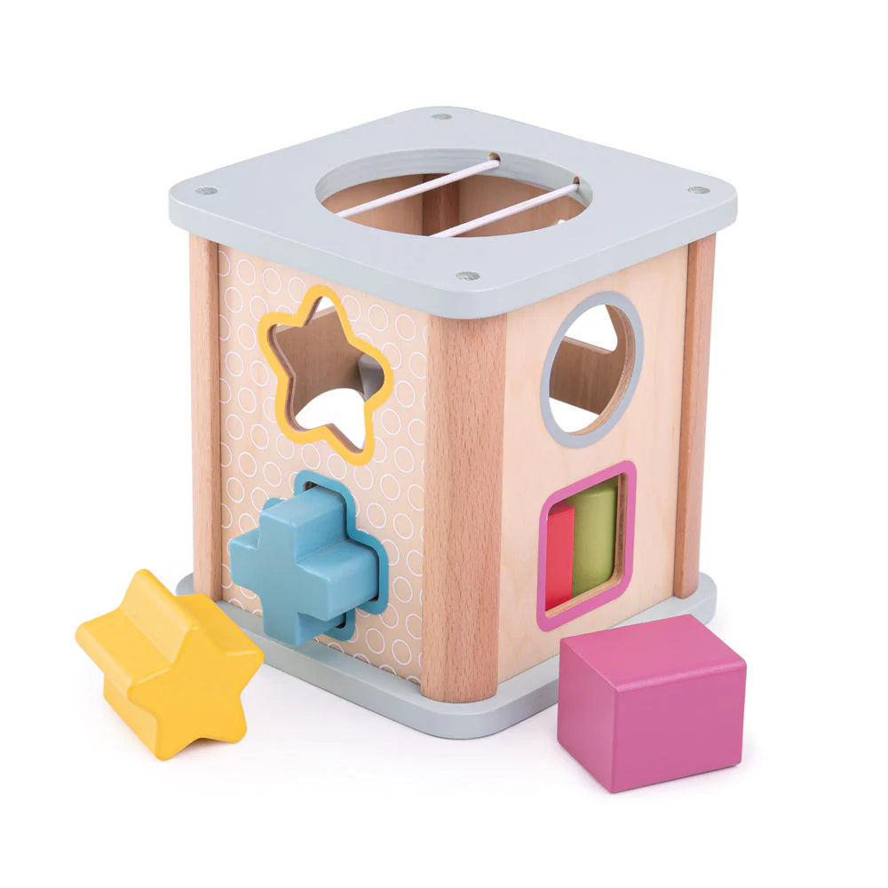 Big Jigs Toys | Shape Sorter