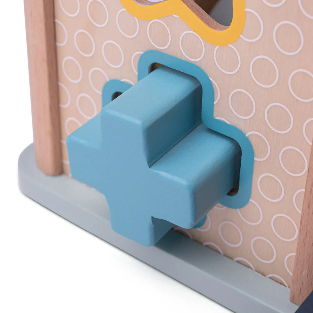 Big Jigs Toys | Shape Sorter