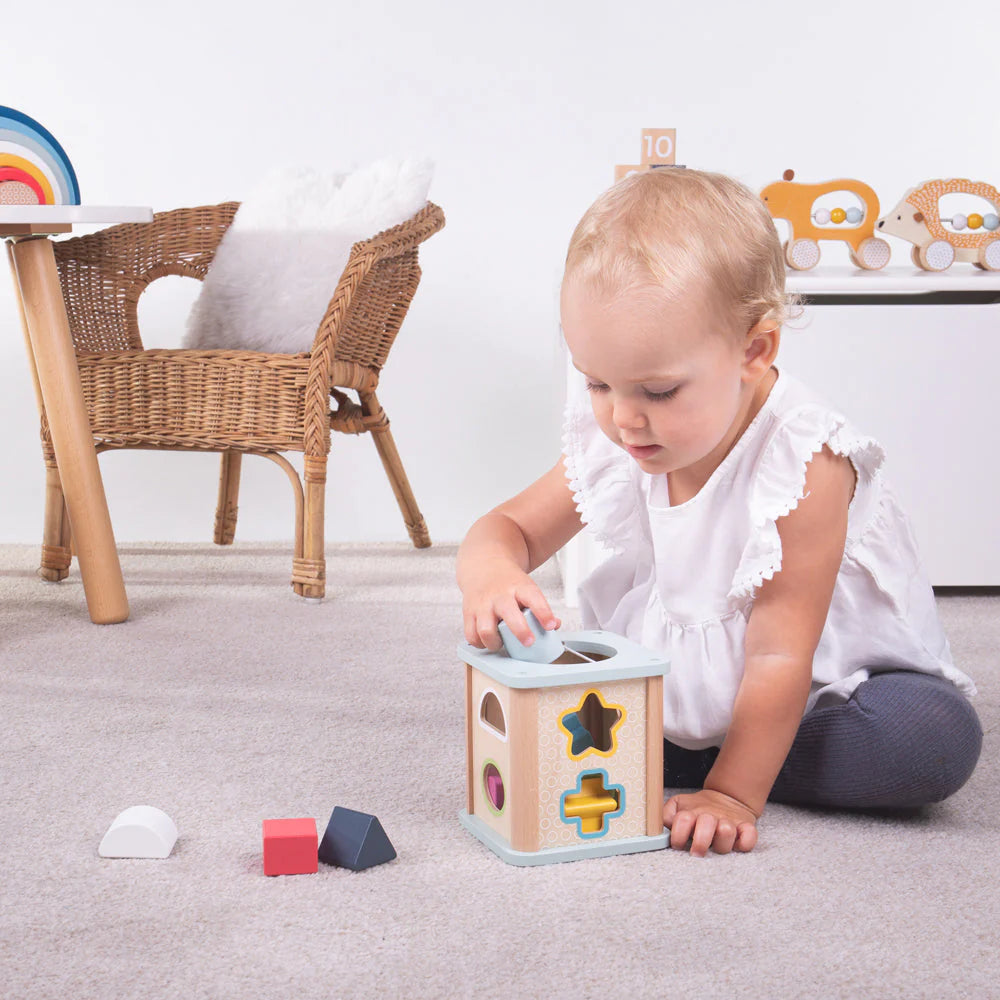 Big Jigs Toys | Shape Sorter