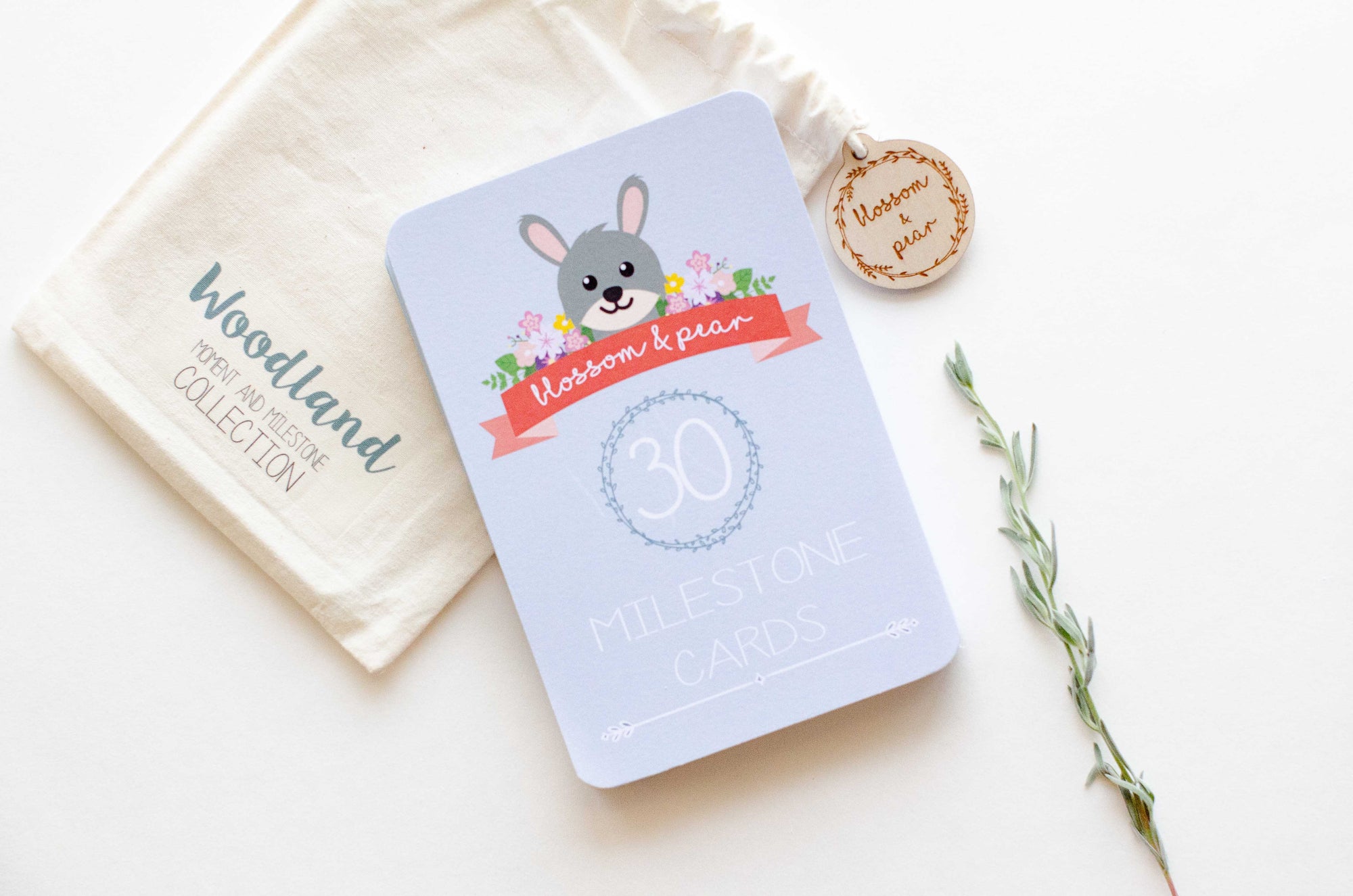 Blossom + Pear - Woodland Baby Moment and Milestone Cards - Seedling & Co.